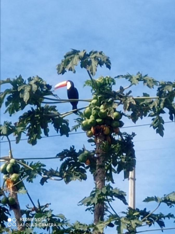 Chacara Recanto Das Pedras Para 8 Pessoas Serra Negra  Zewnętrze zdjęcie